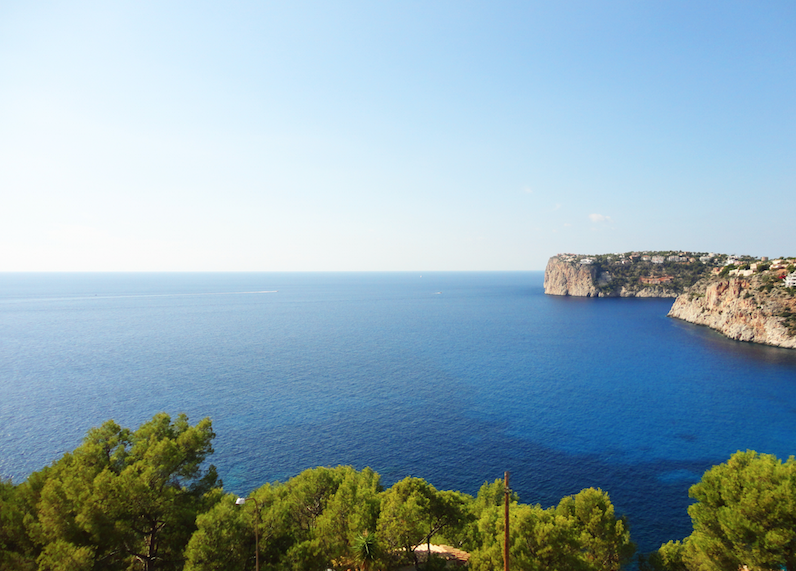 Plot with Project and building license in the bay of Cala Llamp - Puerto Andratx